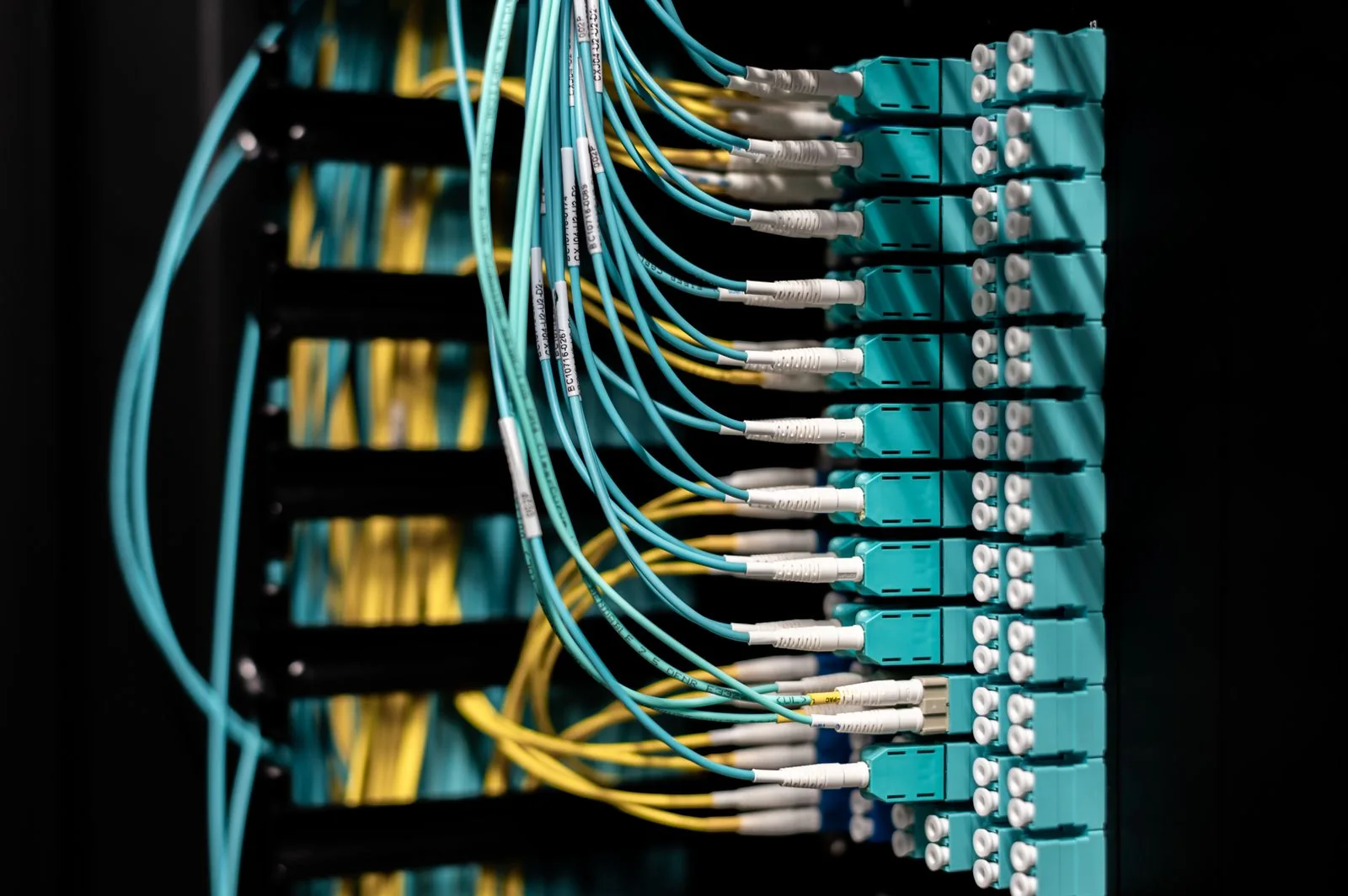 Fotografía de referencia: Panel de distribución óptica para la conectividad de una red empresarial.